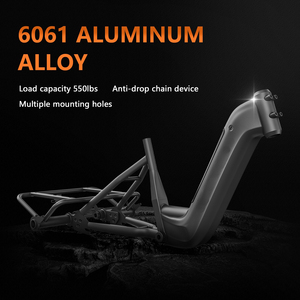 Vigourous tüm alüminyum alaşım 24 inç yağ tekerlekler kargo bisiklet elektrikli trike üç tekerlekli bisiklet 500W 750W hub motor adult yetişkin 600LBS yükler