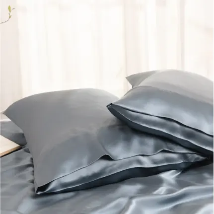 OEM 100% Pure Mulberry Silk Funda De Almohada Silver Sleep Set Caja de regalo Embalaje Slip Silk Pillow Case