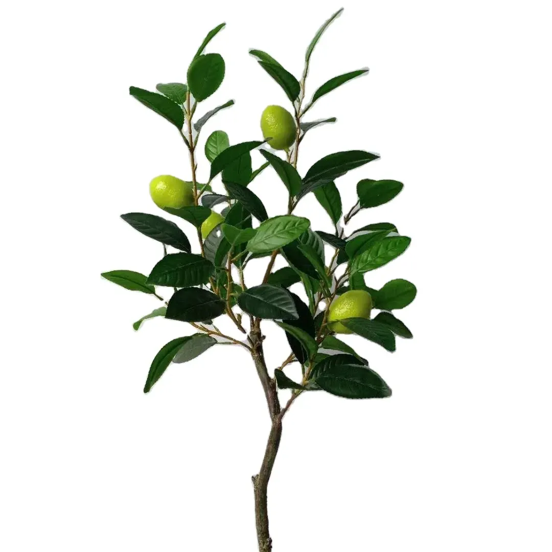 EG-J069 높은 70cm 플라스틱 잎 분재 식물 나무 인공 화분에 심은 레몬 나무 인공 녹색 식물