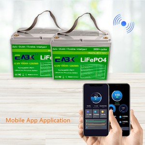 18650 Rechargeable Deep Cycle BMS 12v 100Ah 200Ah 300Ah Lifepo4 <strong>Cell</strong> 400Ah <strong>Lithium</strong> <strong>Ion</strong> Pack Battery Lifepo4 - Product Image 6