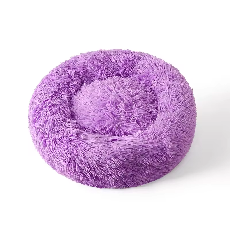 Pourpre