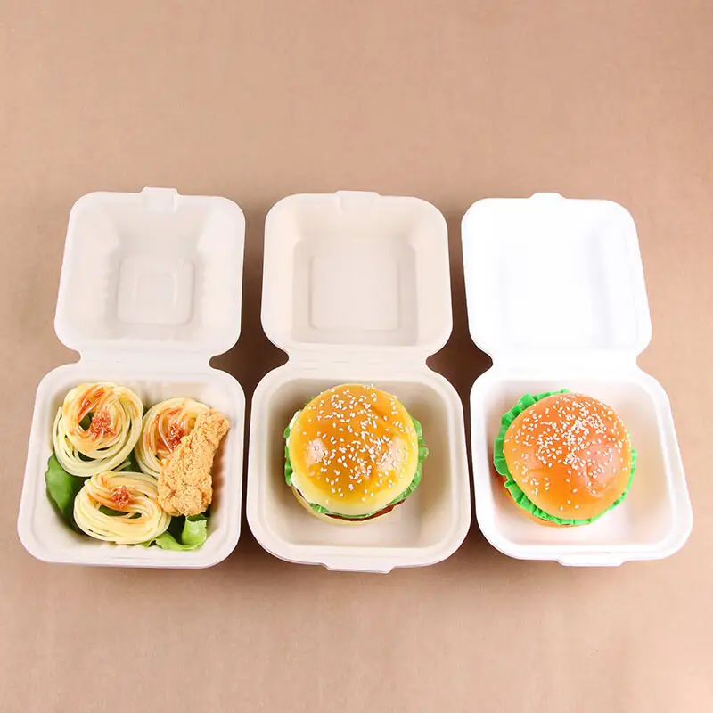 Packaging Biodegradable Bento Box 2 Compartment Disposable Food Container