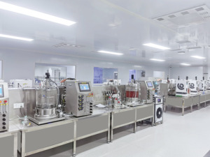 Laboratuvar maya mantarları yosun mekanik karıştırma 5L cam biyoreaktör fermentör BLBIO-5GJA-3 fermantasyon makinesi fiyat - Product Image 6