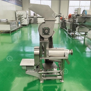 Mango elma 220V Squizing Hydra çıkarıcı sıkacağı hattı ticari hindistan cevizi süt makinesi makine meyve suyu makinesi - Product Image 2