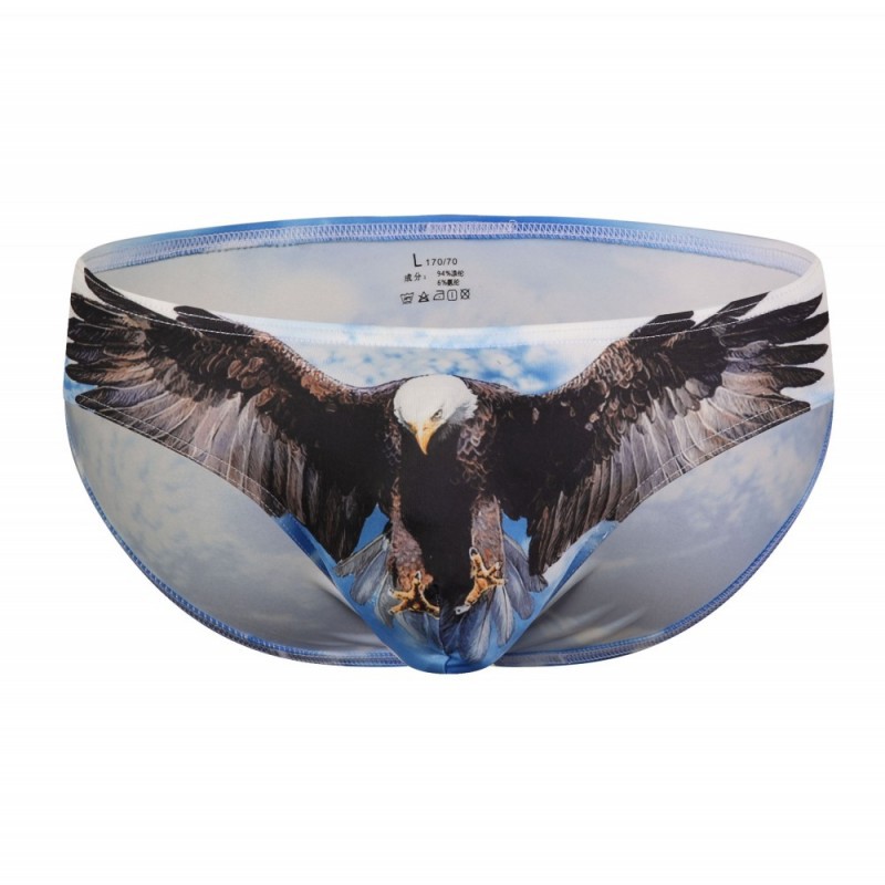 Aigle