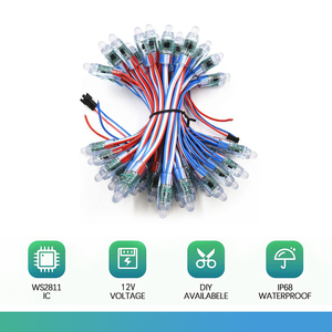 <strong>RGB</strong> Color Digital <strong>LED</strong> <strong>Pixel</strong> Light 12mm WS2811 Full Color <strong>Pixel</strong> <strong>LED</strong> Christmas Decorations Lights DC 12V Input IP68 Waterproof - Product Image 4