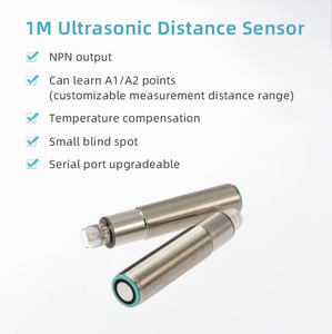 1M Ultrasónico Park Assist Evitación de obstáculos Módulo de medición de distancia Sensor Ultrasónico Sensor de detección de punto ciego - Product Image 2