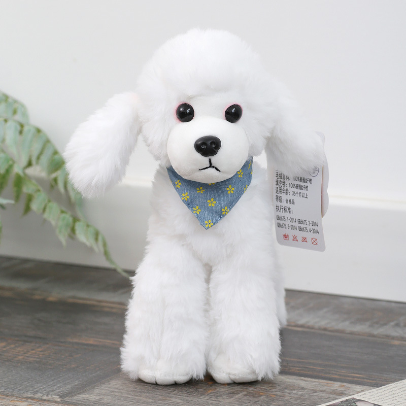 Poodle-white