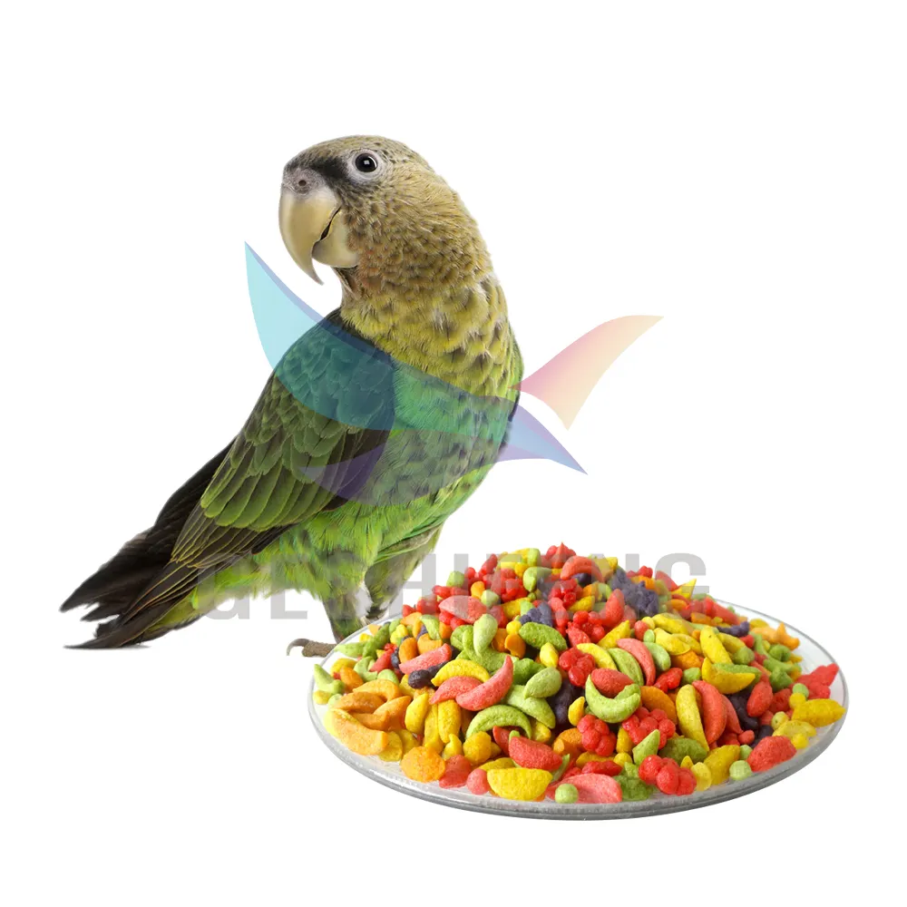 Premium 10kg Bird Feeds Fruit Mixed Food 22 libras Canary Parrot Food Seed