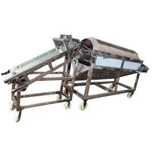 Trilladora de vainas de cacao Máquina para romper vainas de Cacao/Máquina de detección de granos de cacao/Máquina separadora de granos de cacao - Product Image 6