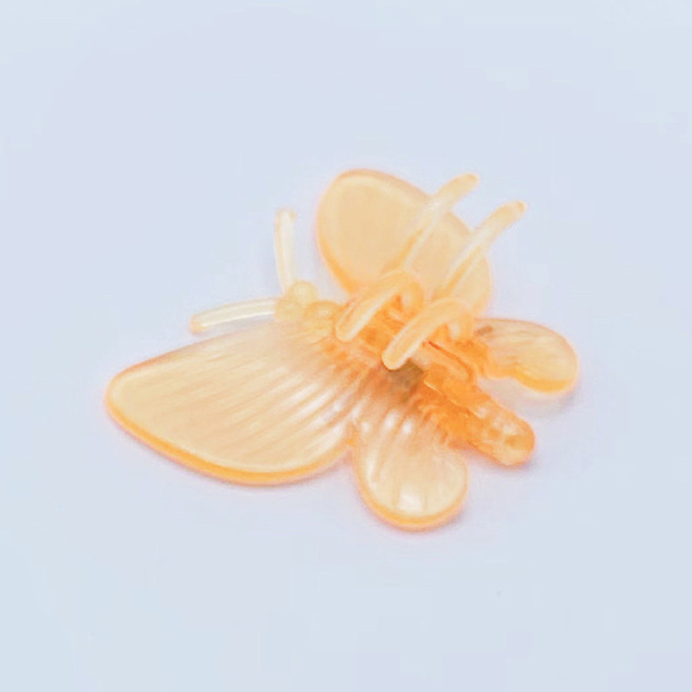 Papillon orange