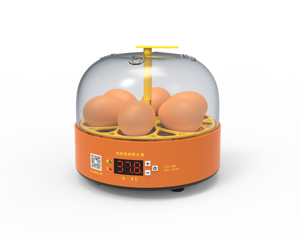 小型容量6卵インキュベーター家庭用2025コンパクト軽量PP素材 - Product Image 1