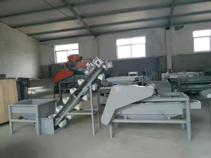 Máquina automática de galletas de nueces de Perrera de Palma, cáscara de albaricoque, rotura y separación de avellana, desgranadora y separador de avellanas