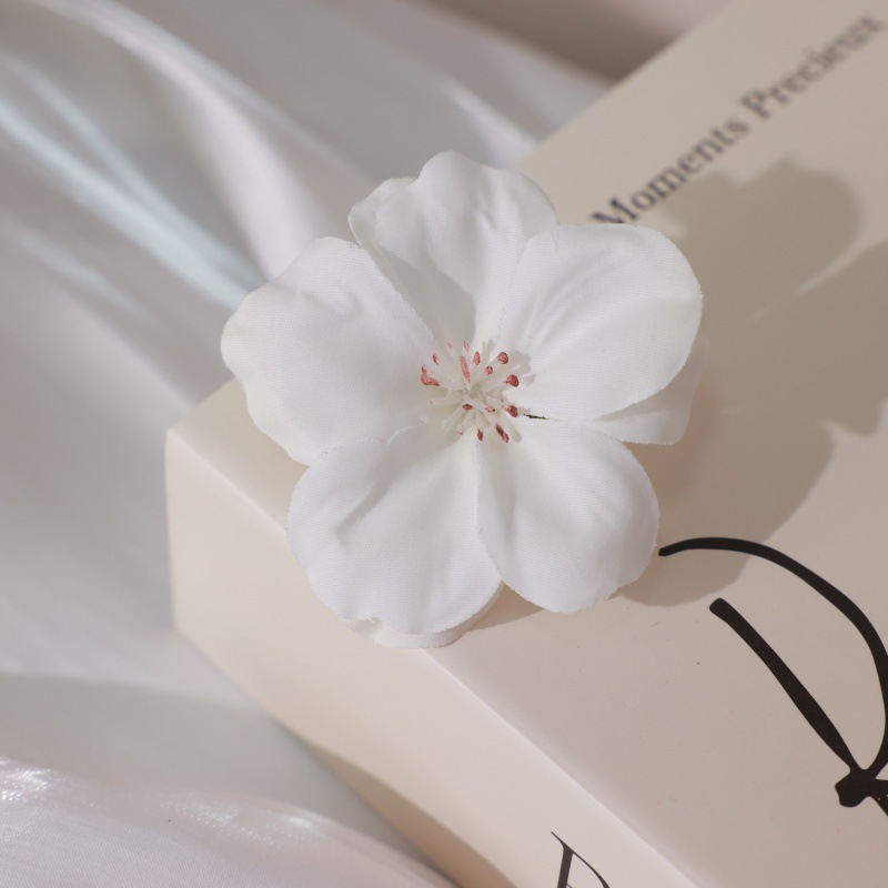Fleurs de cerisier blanches