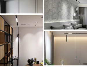 ECOJAS Khuyến Mãi Mới Cửa Hàng Quần Áo Chiếu Sáng Theo Dõi Đèn LED Với Dali Kiểm Soát 3000-3600 Trắng/Đen IES Tập Tin 5 Năm - Product Image 4