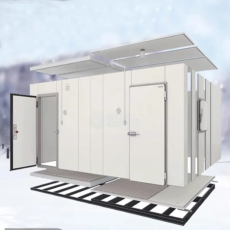 Chambres froides à vendre Prix chambre froide Homard congelé avec unité de condensation Approuvé CE