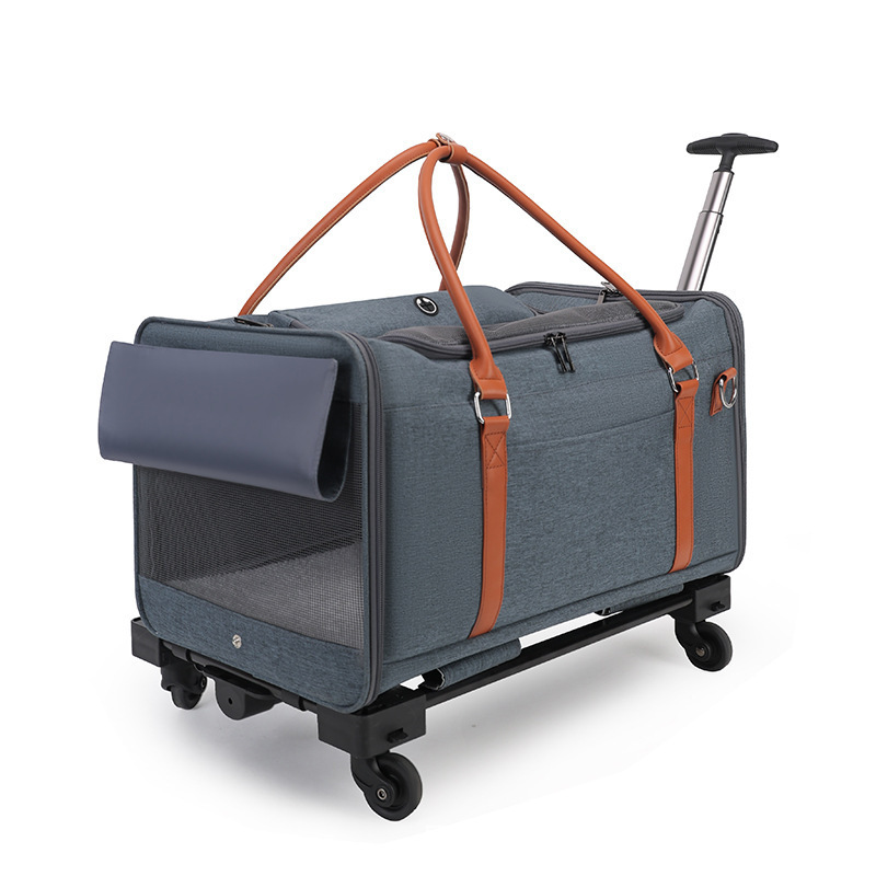 สีฟ้า