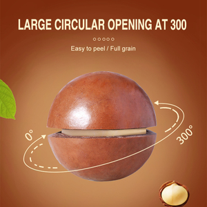 2025 cây trồng mới bán buôn Vân Nam rang hạt <span class=keywords><strong>Macadamia</strong></span> với vỏ - Product Image 6