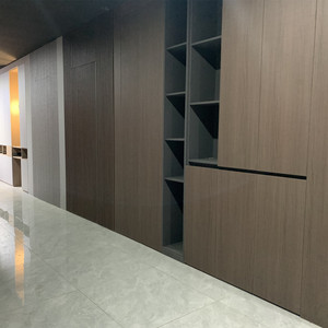 3D tấm hiện đại Thiết kế đơn giản phẳng Pet cửa tủ MDF bảng hạt ván ép <span class=keywords><strong>garderobe</strong></span> cửa tủ quần áo - Product Image 4