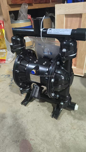 经销商计划DBY工程塑料PPL不锈钢隔膜泵1年保修ISO/CE认证 - Product Image 4