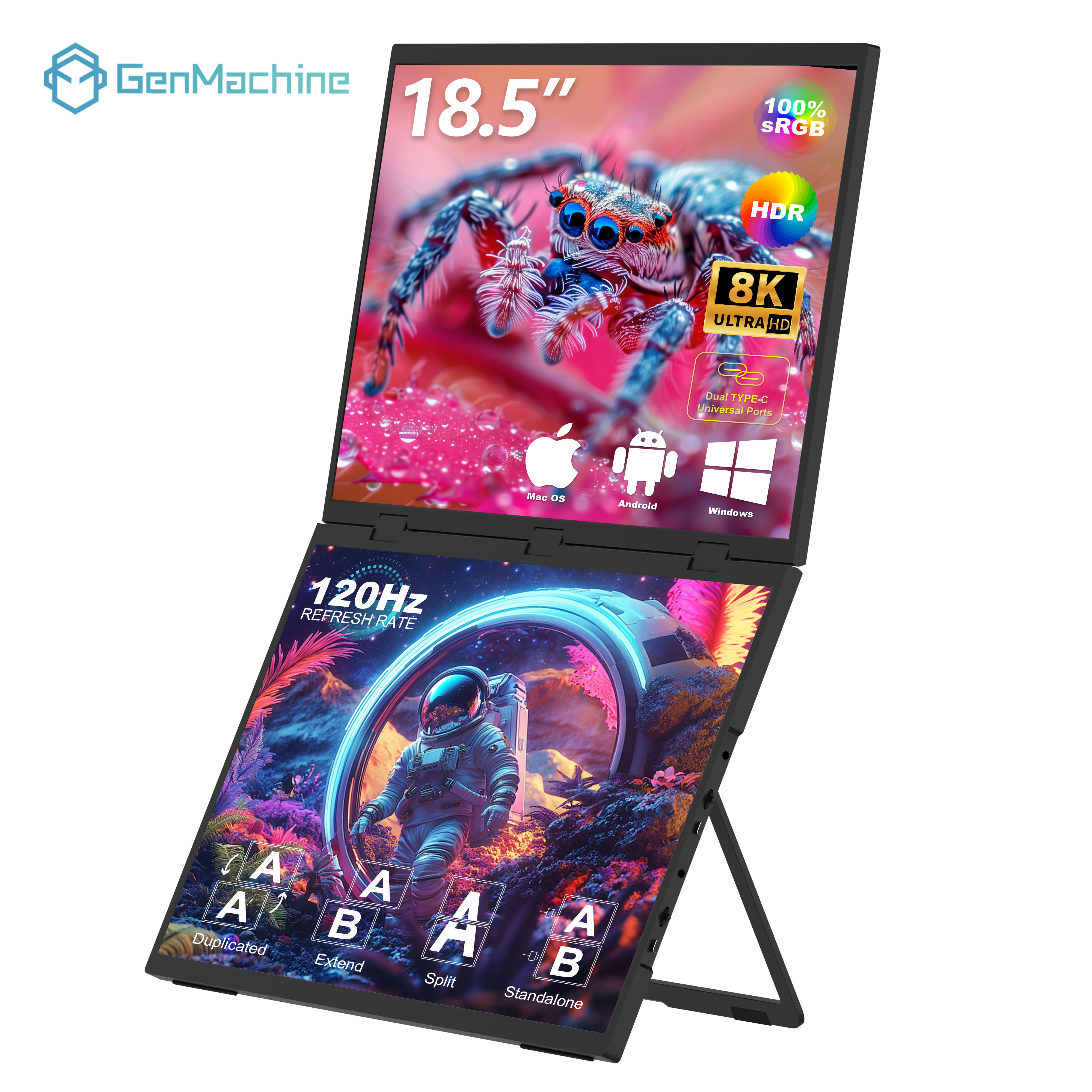 Moniteur à double écran