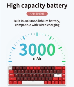3モデルゲーミングメカニカルキーボードRGBHW68USBタイプCテクノロジーキーボードの卸売 - Product Image 5