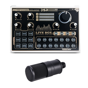 Huayi Voice V9 Family Concert Condenser Recording Podcast Studio Sound Card Kit with Earphone <strong>Monitor</strong> for Live Recording - Product Image 1
