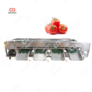Automatic Fruits and Vegetables <strong>Sorting</strong> <strong>Machines</strong> Potato <strong>Sorting</strong> and Packing Machinery for Fruit &amp; Vegetable - Product Image 3