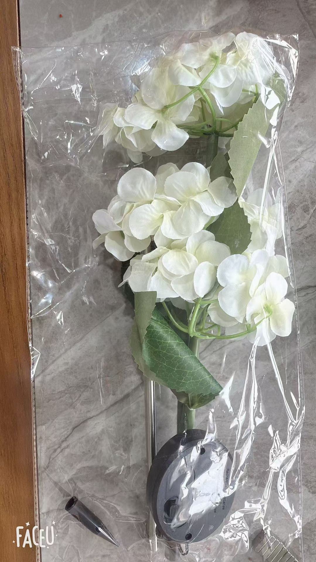 Hortensia blanca