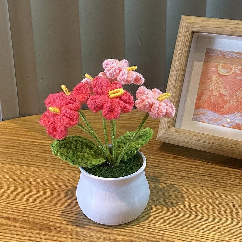 Pink forget-me-not potted plant