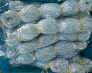 Màu xanh lá cây và màu xanh Nylon Monofilament multifilament lưới đánh cá, Ôn Châu lưới nhà máy Nylon Đỏ de pesca - Product Image 6