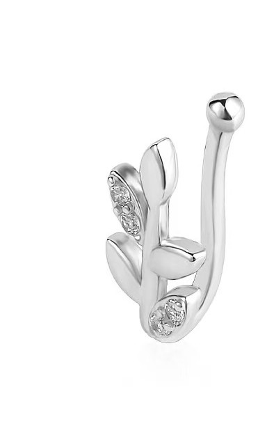 Argent2