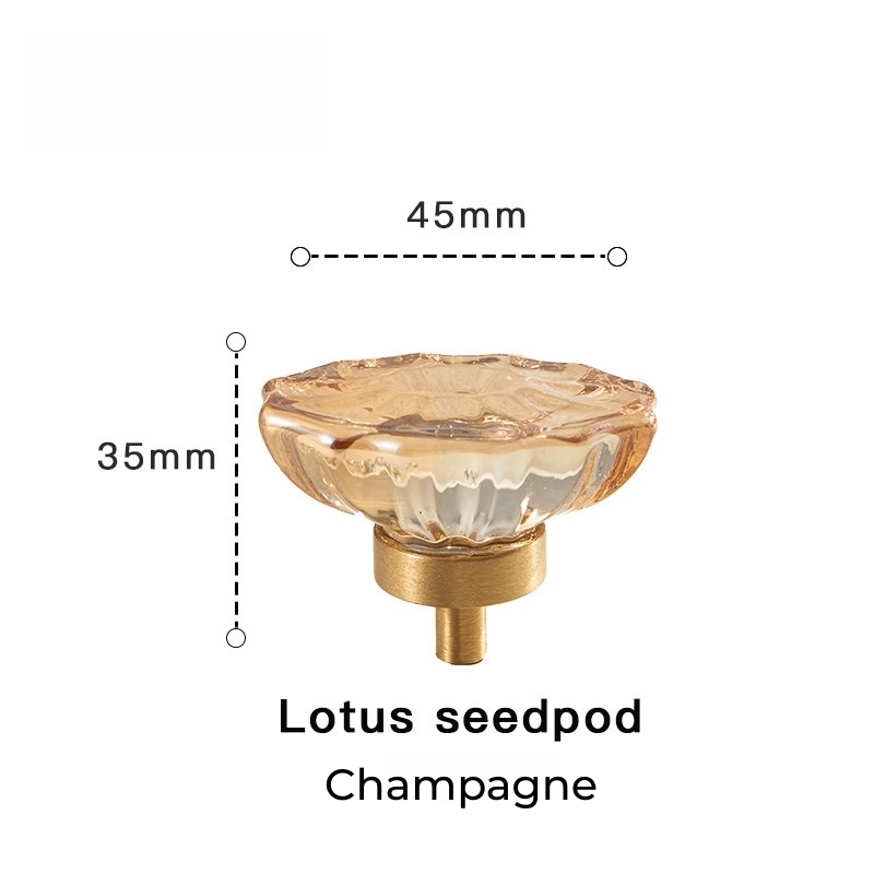 Gousse de graine de lotus au champagne