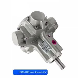 SPMEKE pistonlu hava motoru NKM-1HP mikser patlamaya dayanıklı motor çeşitli kurulum yöntemleri - Product Image 2