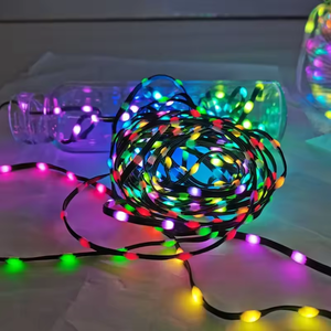 Aoying açık su geçirmez Led WS2811 SK6812 beyaz siyah tel LED piksel dizisi işıkları peri işık dize noel işıkları - Product Image 1