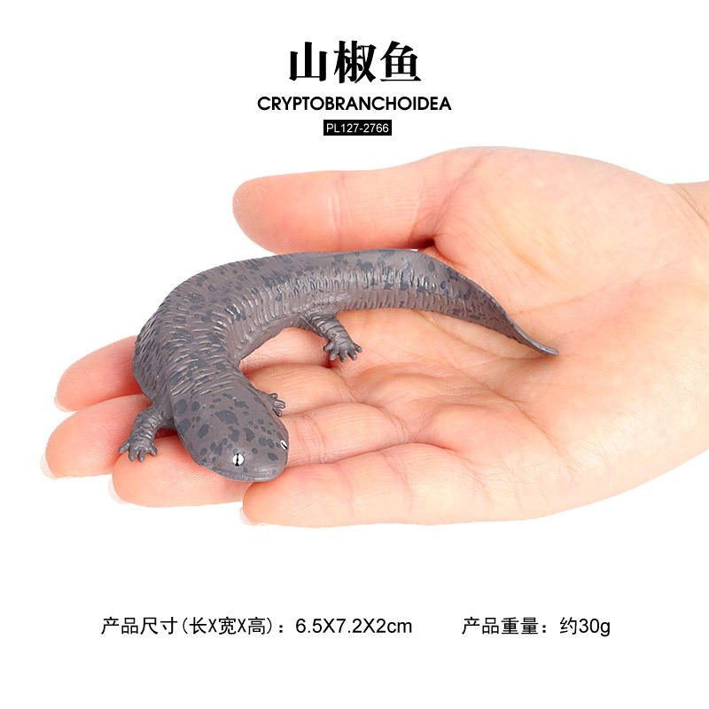 2766 Cryptobranchoidea