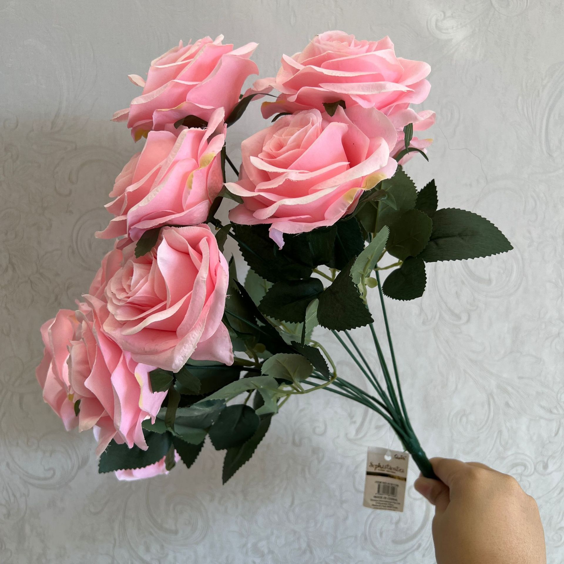 Rosa rosa