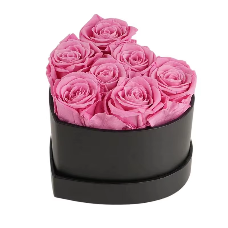 Rose-7 Rsoes
