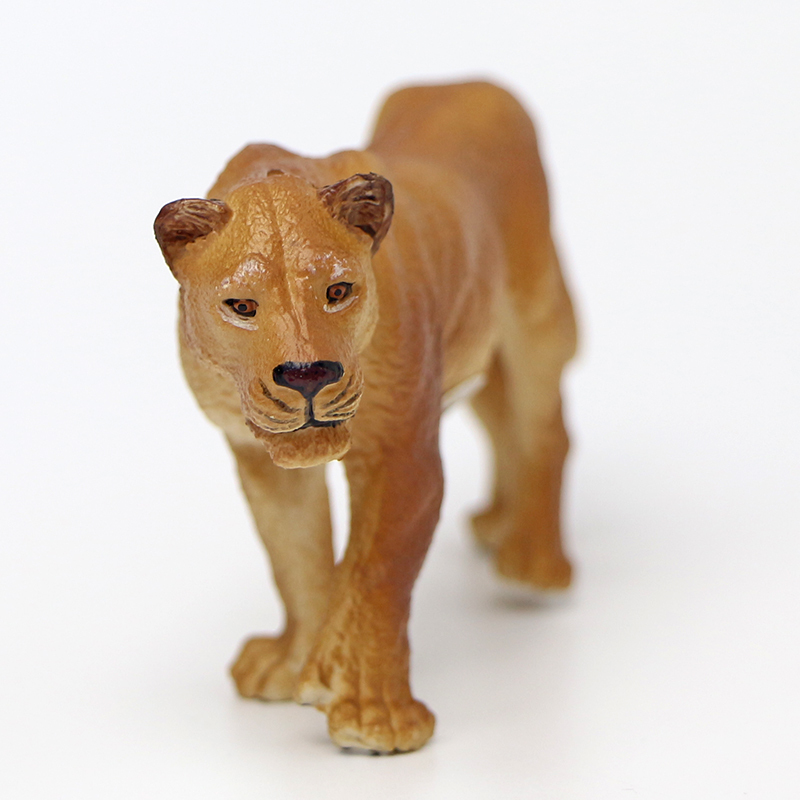 león-1