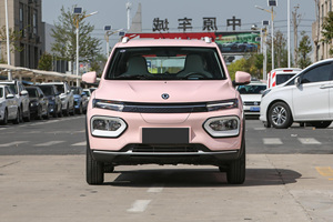 New Product Lithium Iron Phosphate Battery <strong>Four</strong> Wheel City Electric Vehicle for Dongfeng Nano Box 201Km Standard <strong>Model</strong>