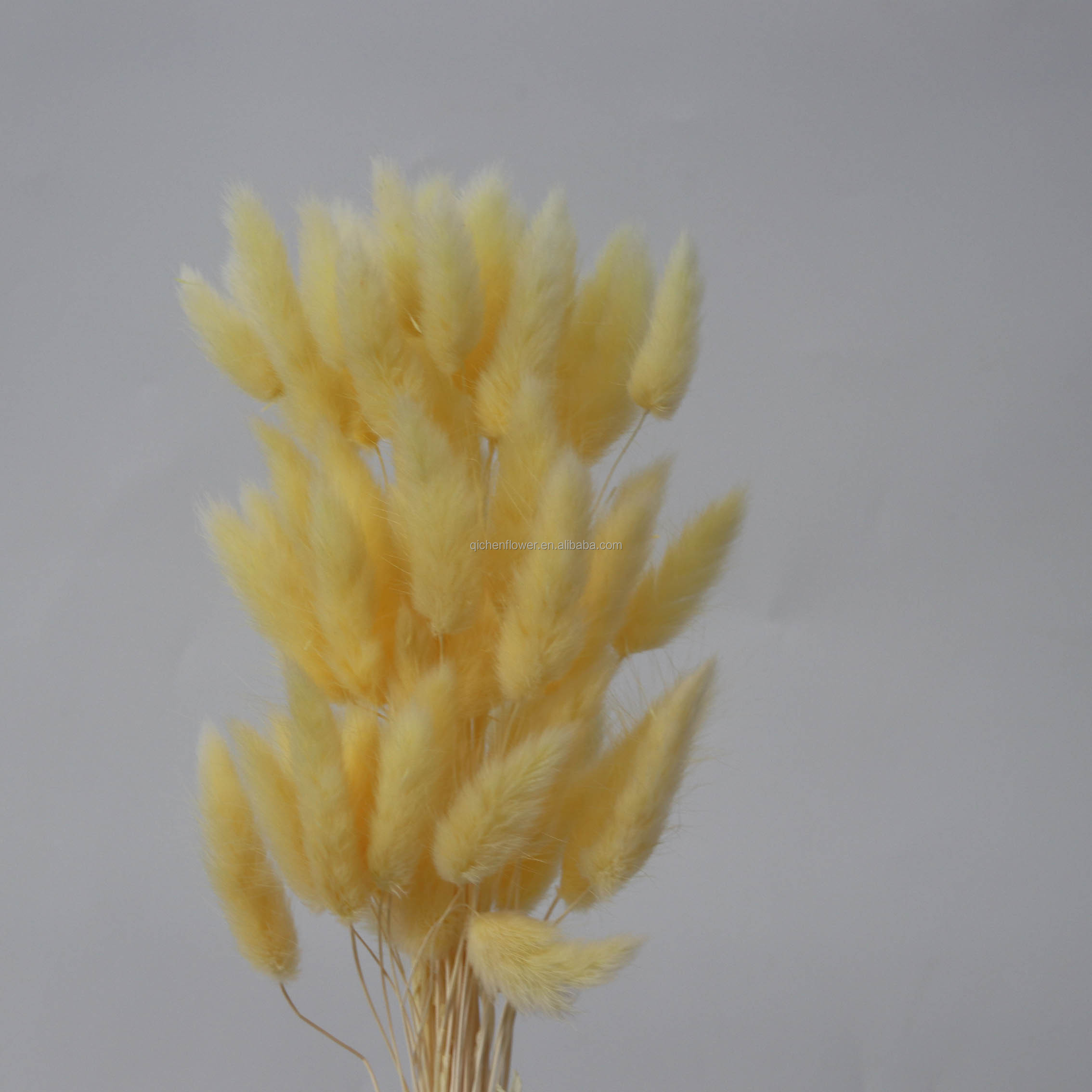Amarillo claro