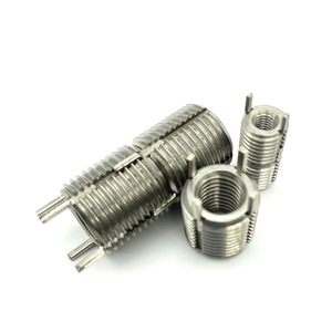 Çin fabrika Metal bağlantı elemanları karbon paslanmaz metrik anahtar kilitleme dişli ekler - Product Image 1