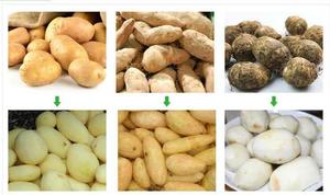 <strong>Cutter</strong> Automatic Sweet Potato Taro Peeling and Cleaning Machine with Lifting Equipment - Product Image 5