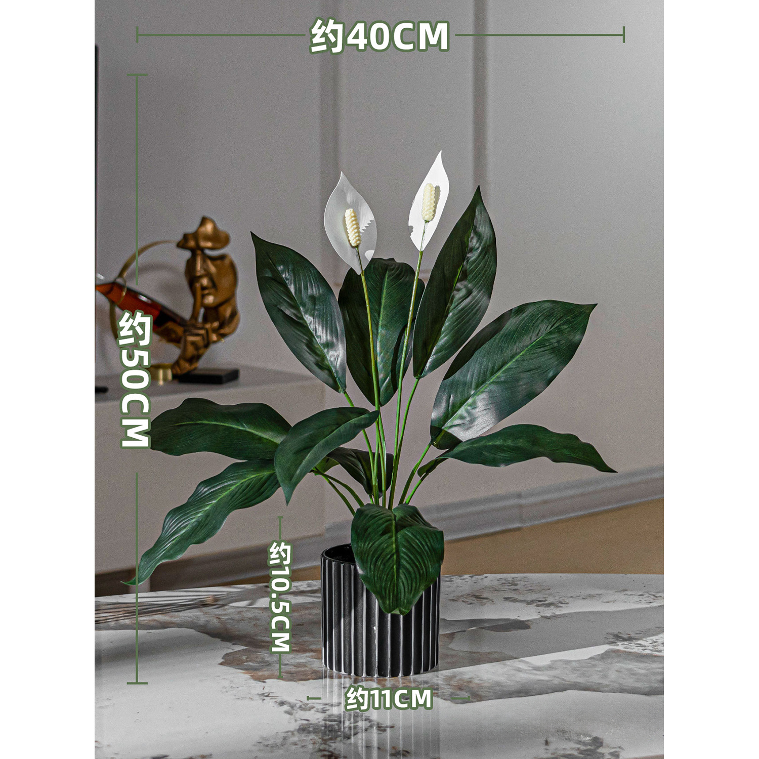 Plante en pot de lys de la paix blanc (40x50cm)