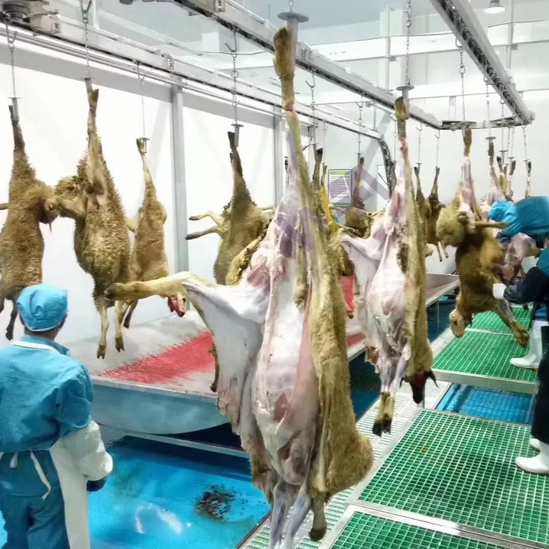 Ligne d'abattoir halal équipement d'abattoir de chèvres machine de traitement de la viande de mouton pour l'abattoir d'agneau