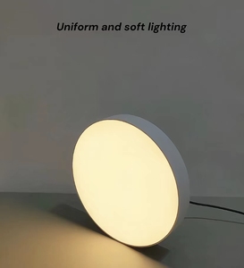 <strong>New</strong> <strong>Style</strong> 24w Tuya Wifi Lighting Smart Ceiling Lamp App Control <strong>Led</strong> Smart Ceiling Lights for Home Wholesale Round Ceiling Light - Product Image 2