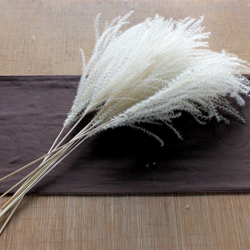 เครื่องตีไข่