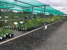 Prodotti agricoli/coperture per serre vegetali rete parasole rete parasole per l'agricoltura