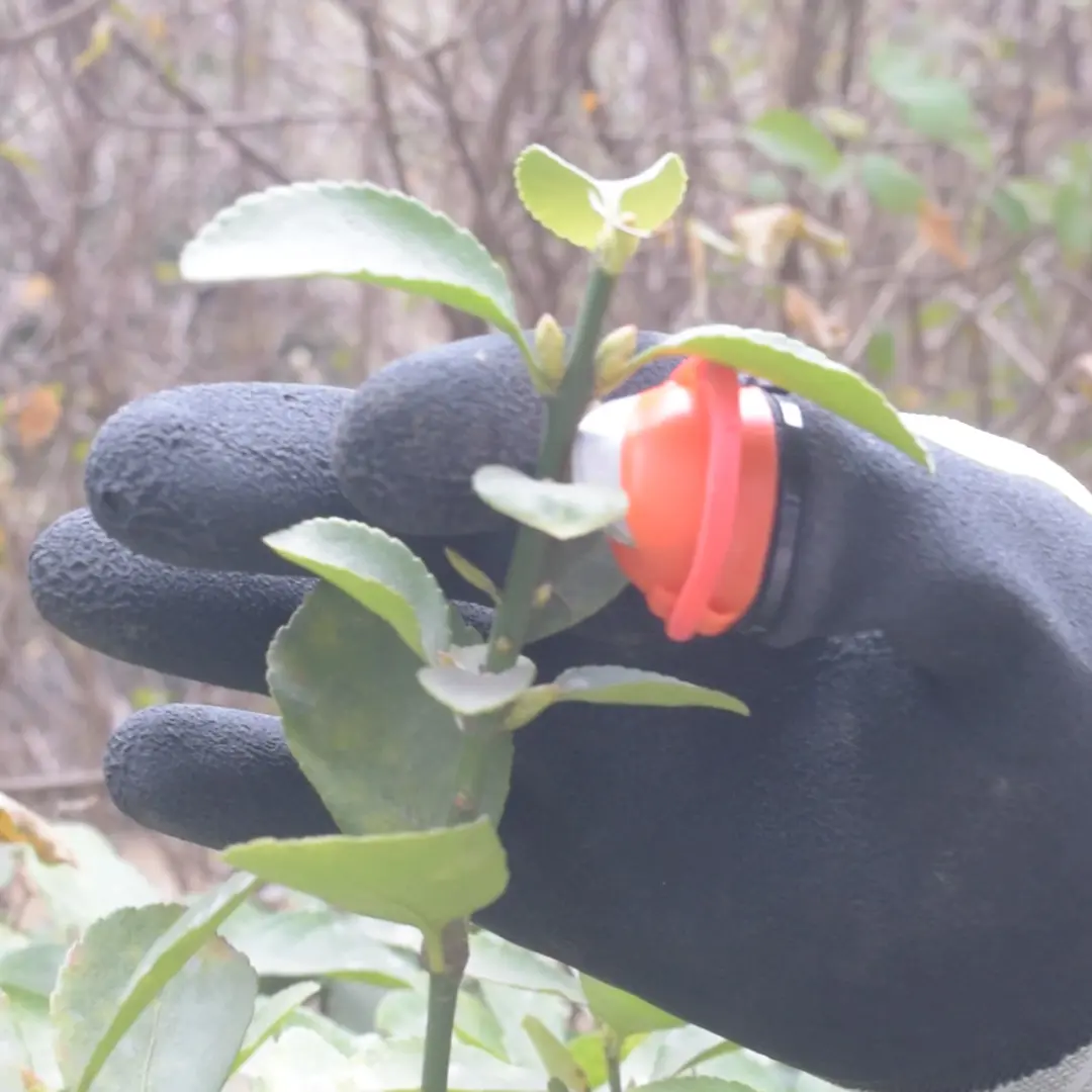 Guantes de jardinería para granja, herramienta de jardín, separador de dedos, cortador, cuchillo para pulgar, fruta, verduras, agricultura