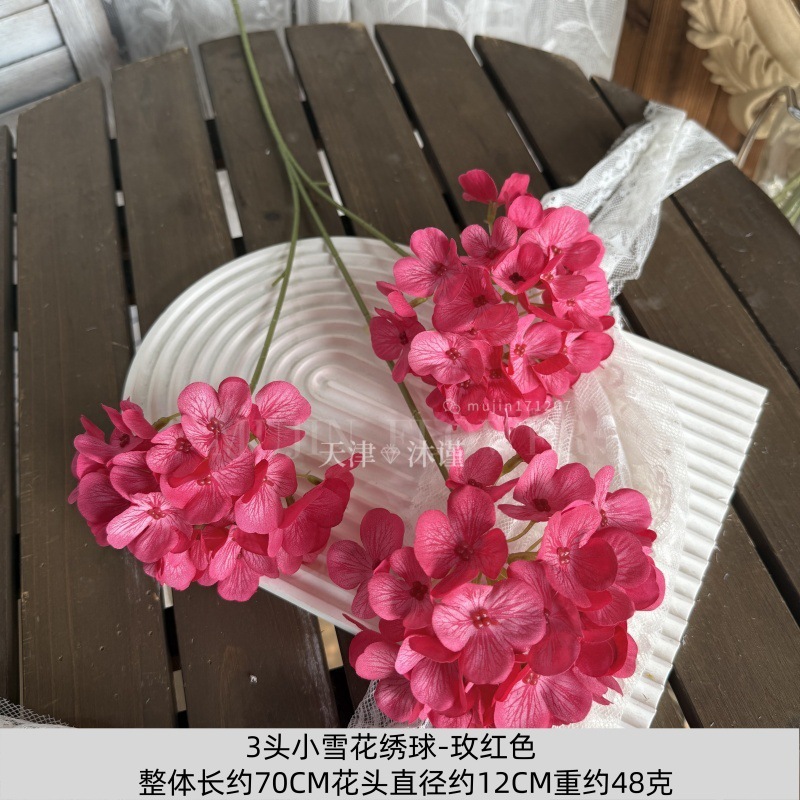 Hortensia copo de nieve de 3 cabezas